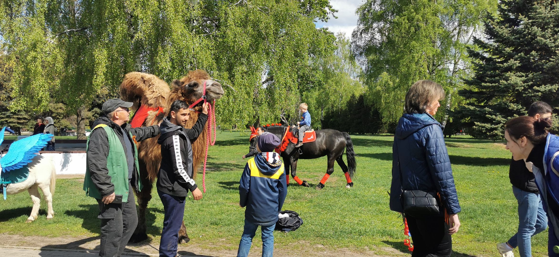 день победы,