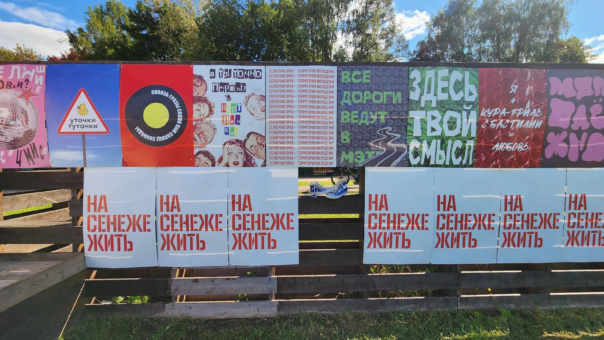 солнечногорск,молодежь, день города,