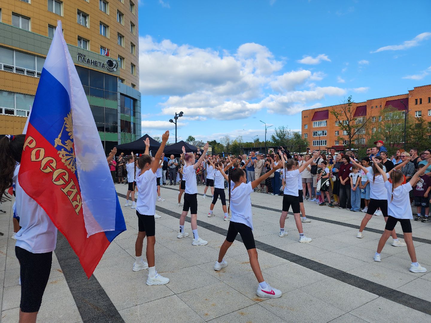 фрязино, день города, художники,