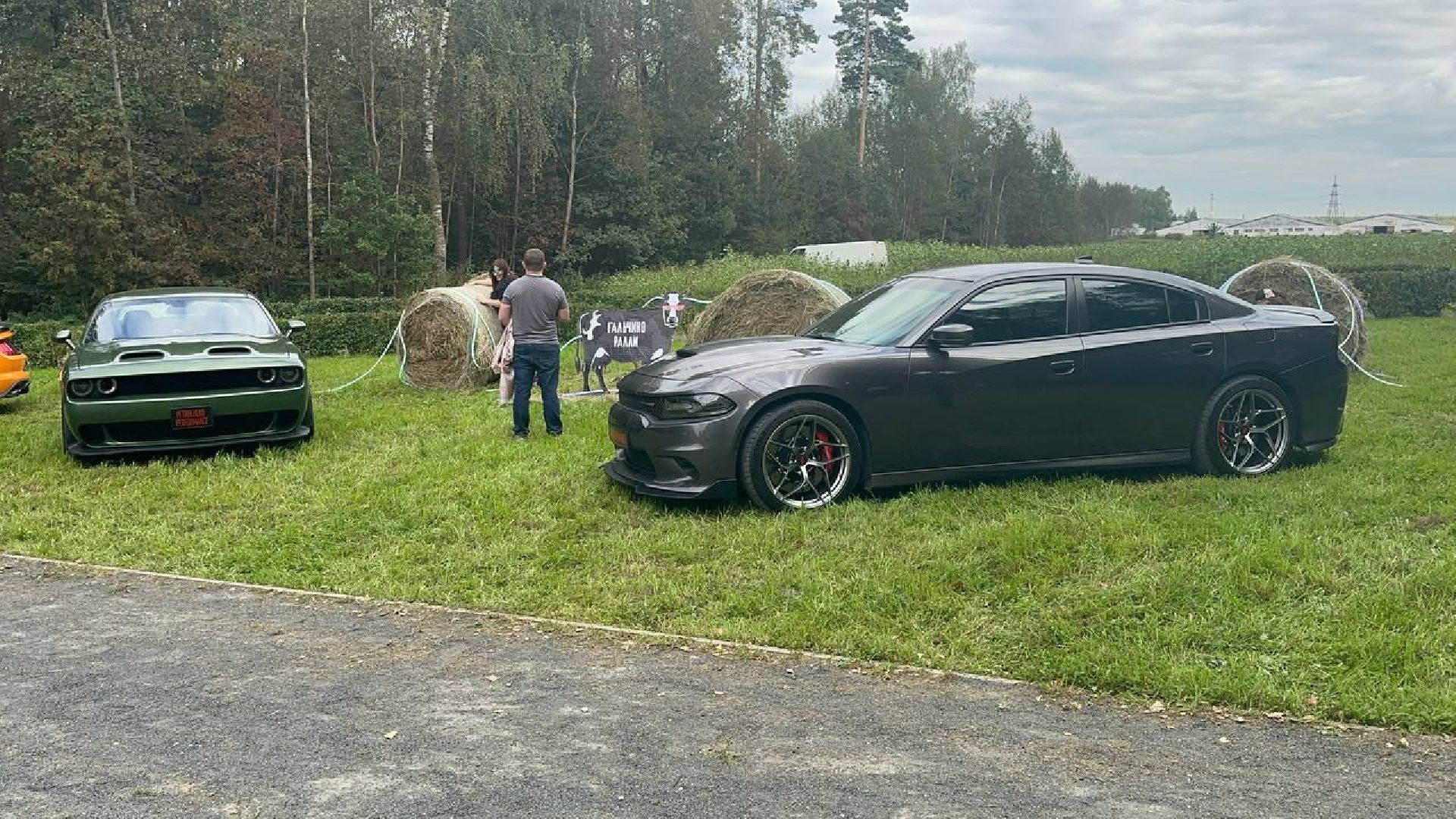 ралли, домодедово, парки,