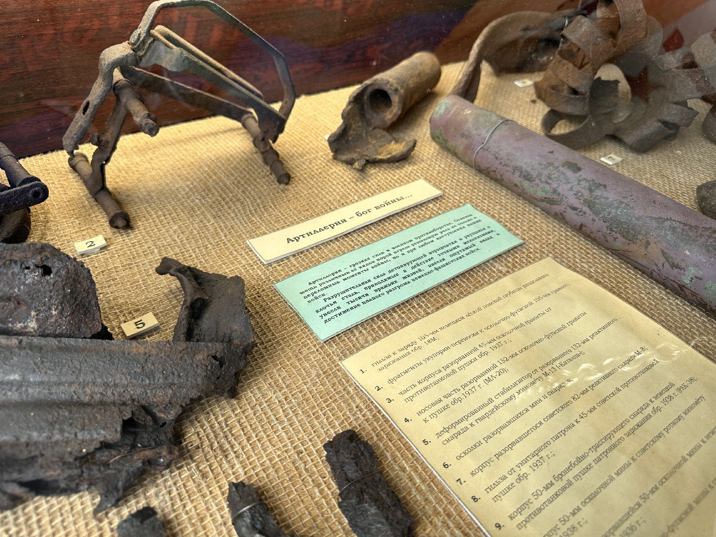 Одинцово, День Победы, Поисковики