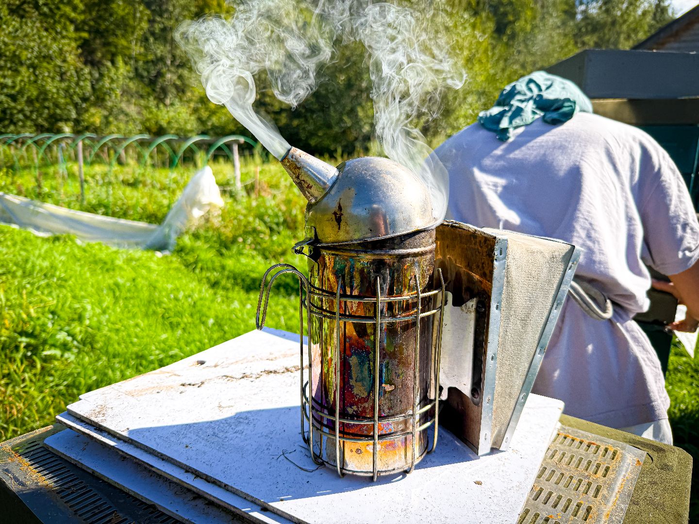 клин, общество, экономика, экотуризм, подмосковье,