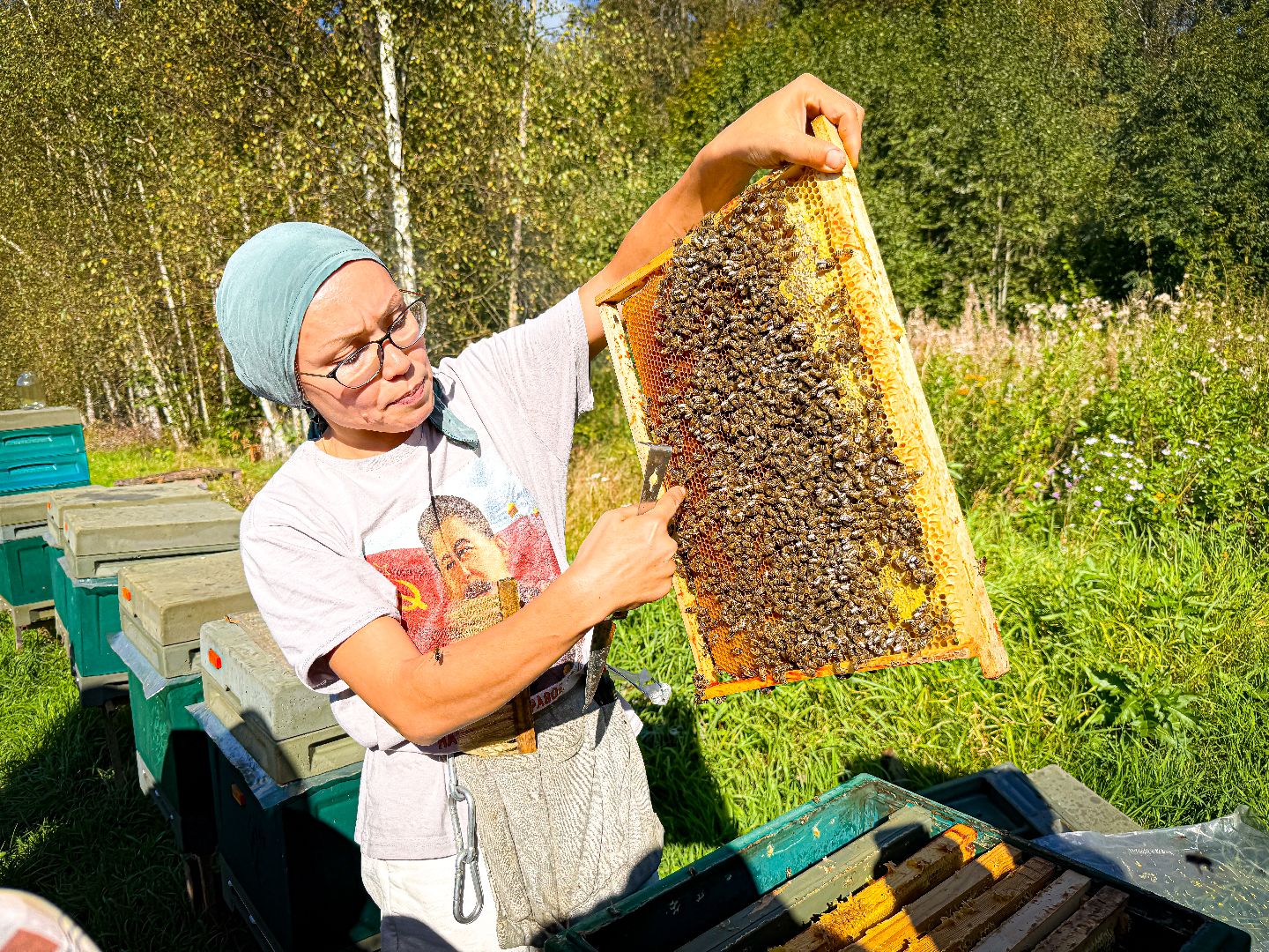 клин, общество, экономика, экотуризм, подмосковье,