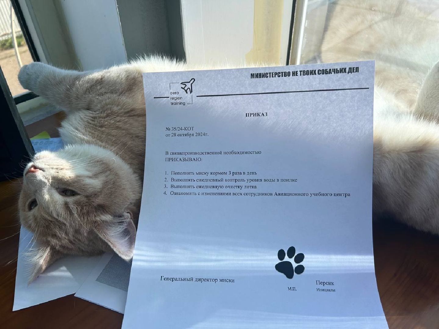 раменское, мячково, аэродром, аэродром мячково, самолеты, животные,истории о животных,