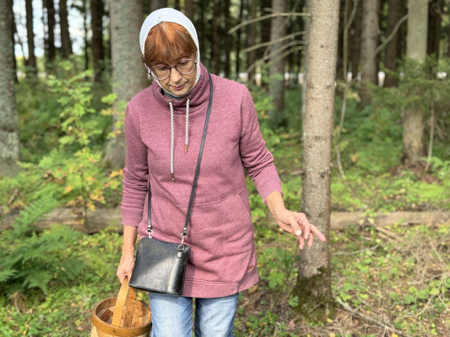 шаховская, тихая охота, грибы, грибник, грибы в лесу,