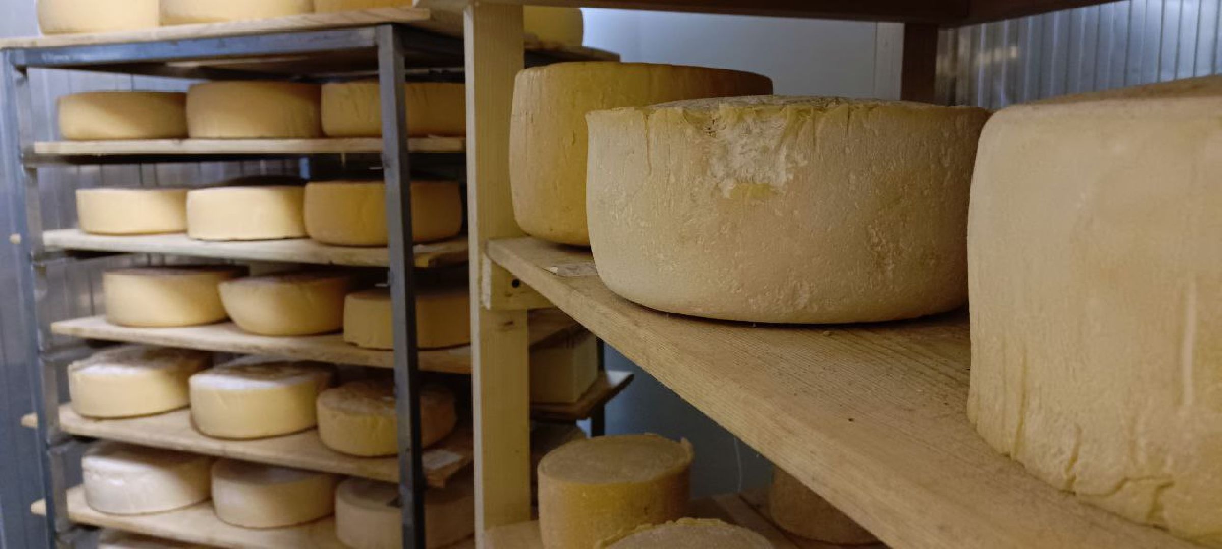 Дмитров, КФХ Свободный труд, Сыроварня Булатовых, Фермеры, Минсельхоз,