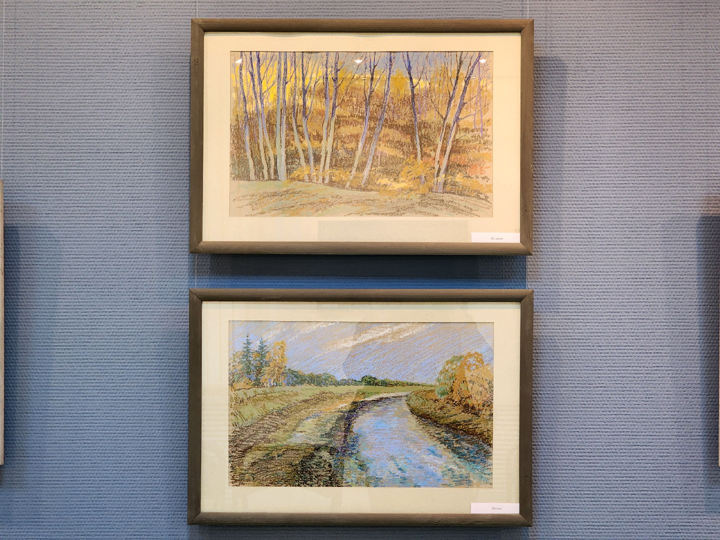 электросталь, жители, выставка, культура, художник, общество,