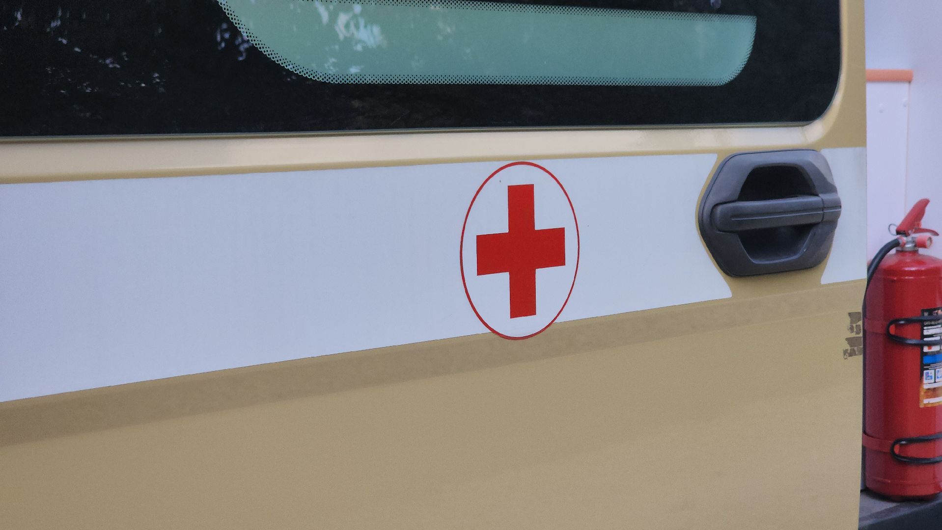 щёлково, профосмотр, выездная вакцинация,