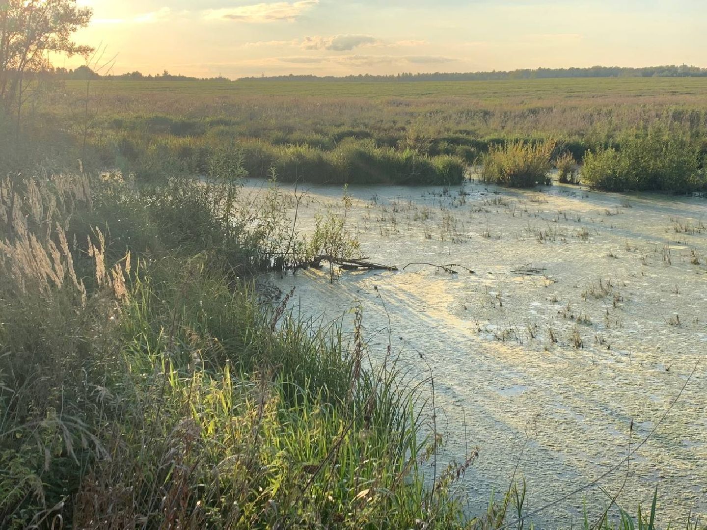 ступино, леонтьево, дорога,