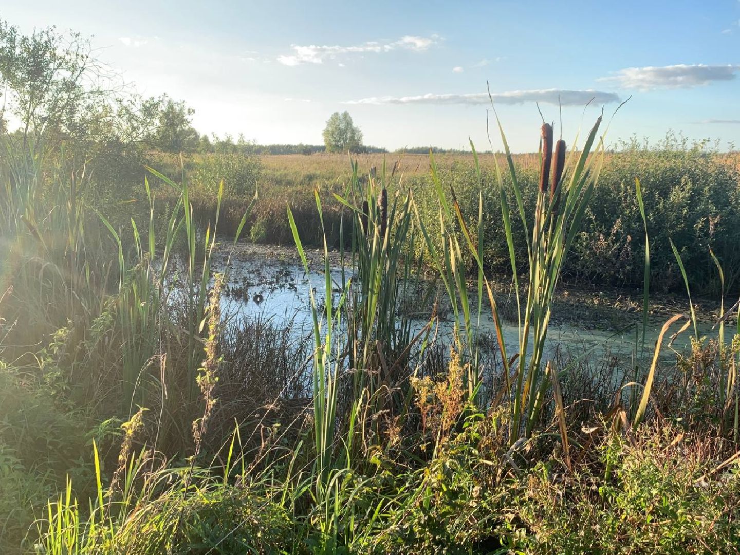 ступино, леонтьево, дорога,