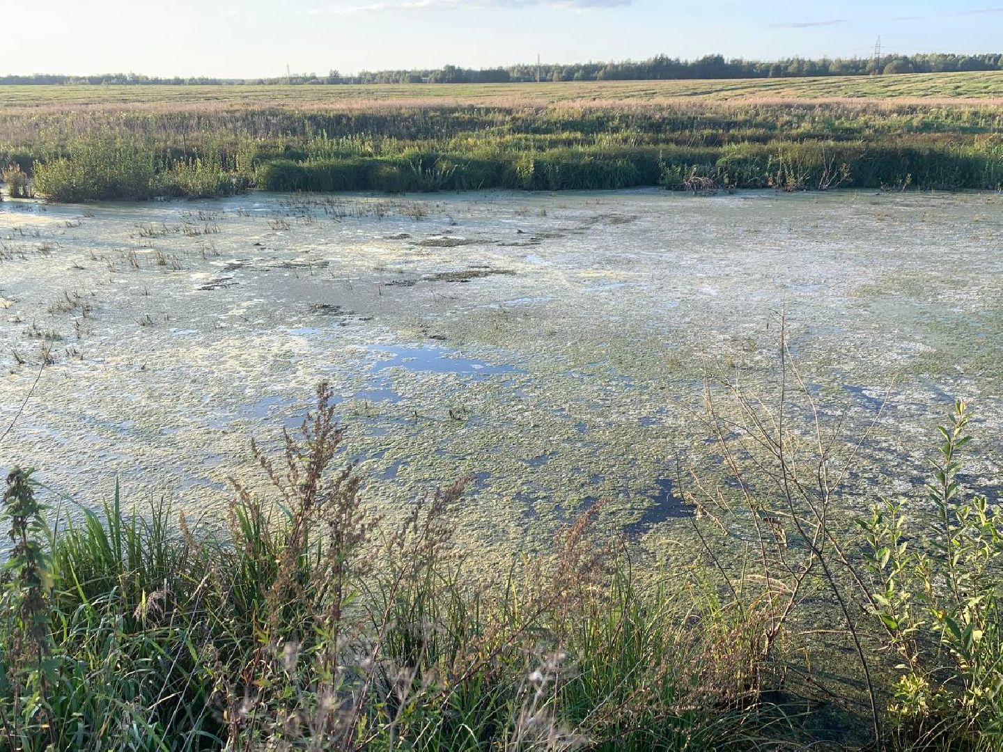 ступино, леонтьево, дорога,