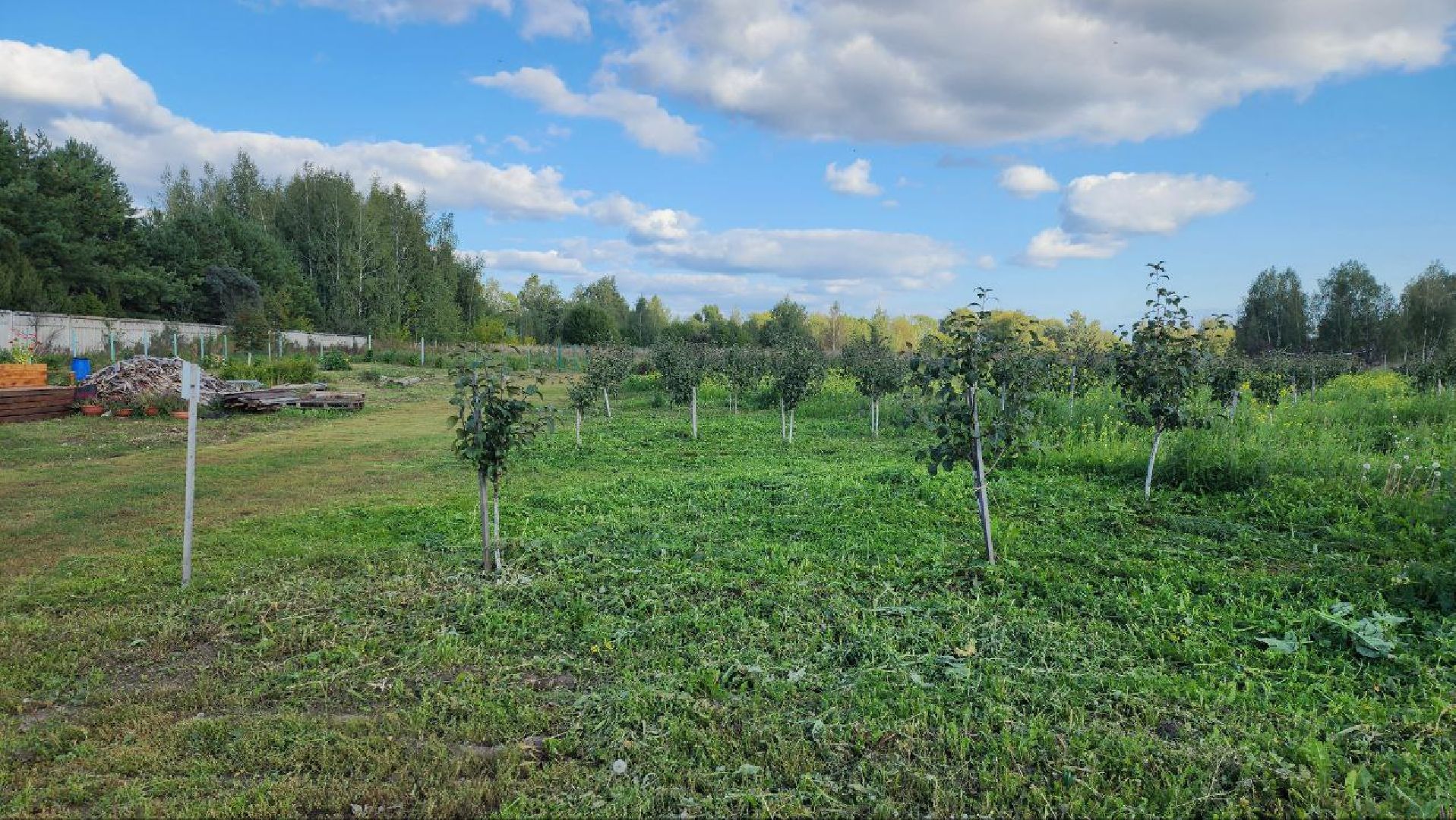 луховицы, сельское хозяйство,