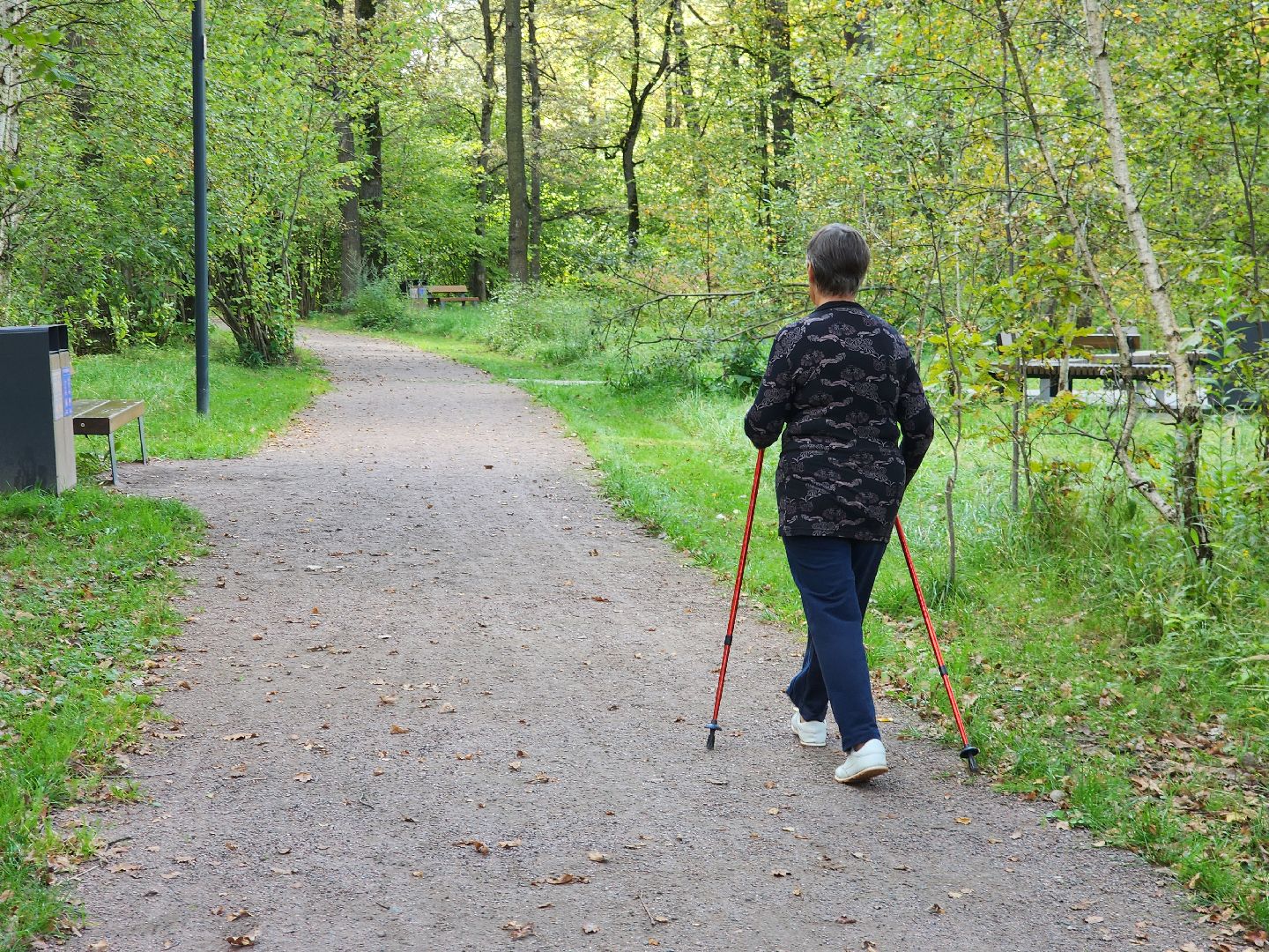 фрязино, грибы в лесу, лесопарк, кормушки,