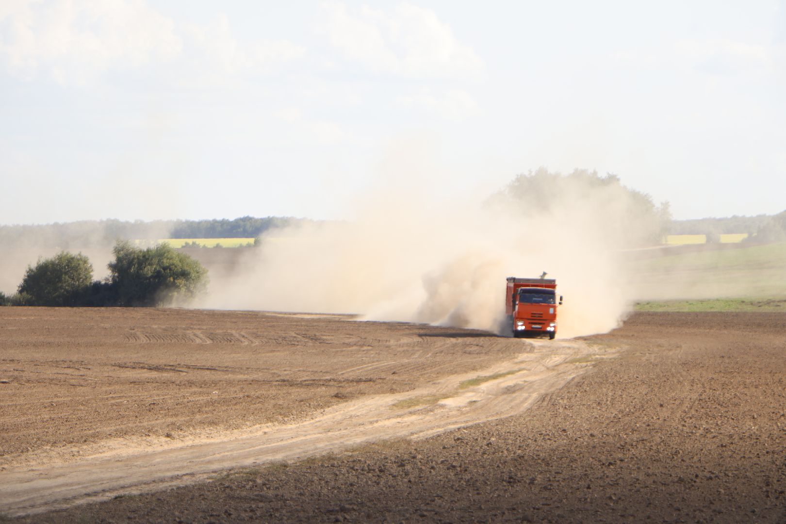 зарайск, сельское хозяйство, посевная,