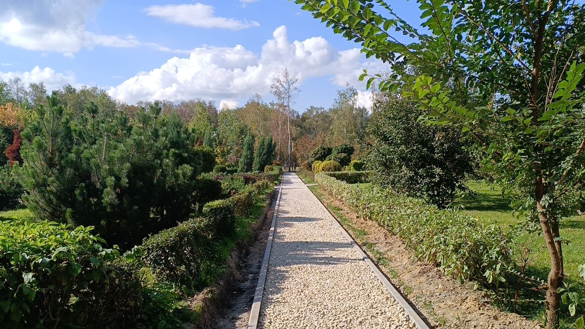 парк, лобня, пешеходная дорожка,