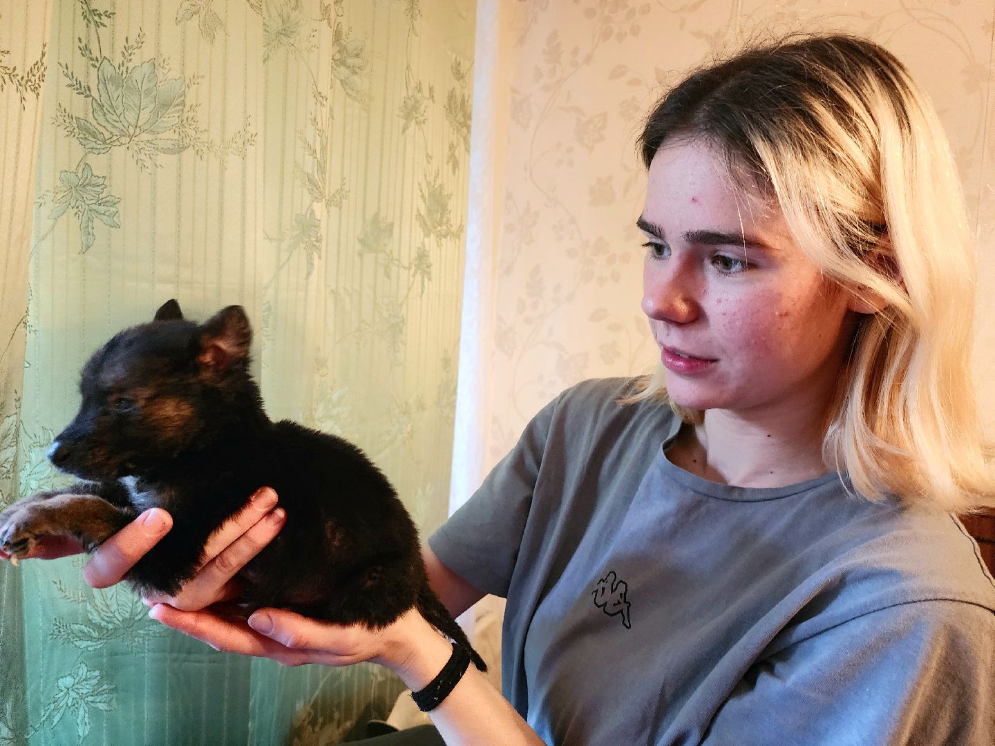 наро-фоминск, добрые дела, благо твори,   щенки, собачья жизнь,