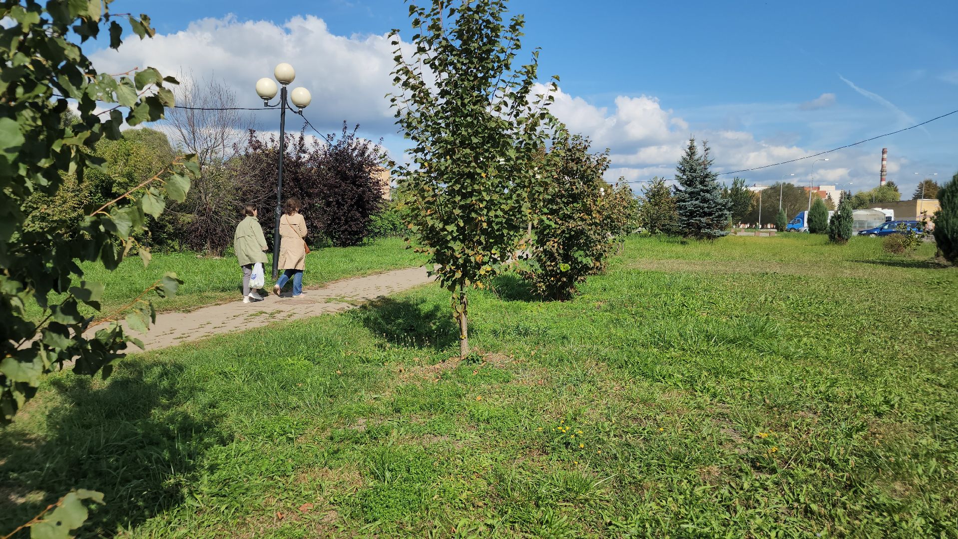 ремонт коллектора, орехово-зуево,