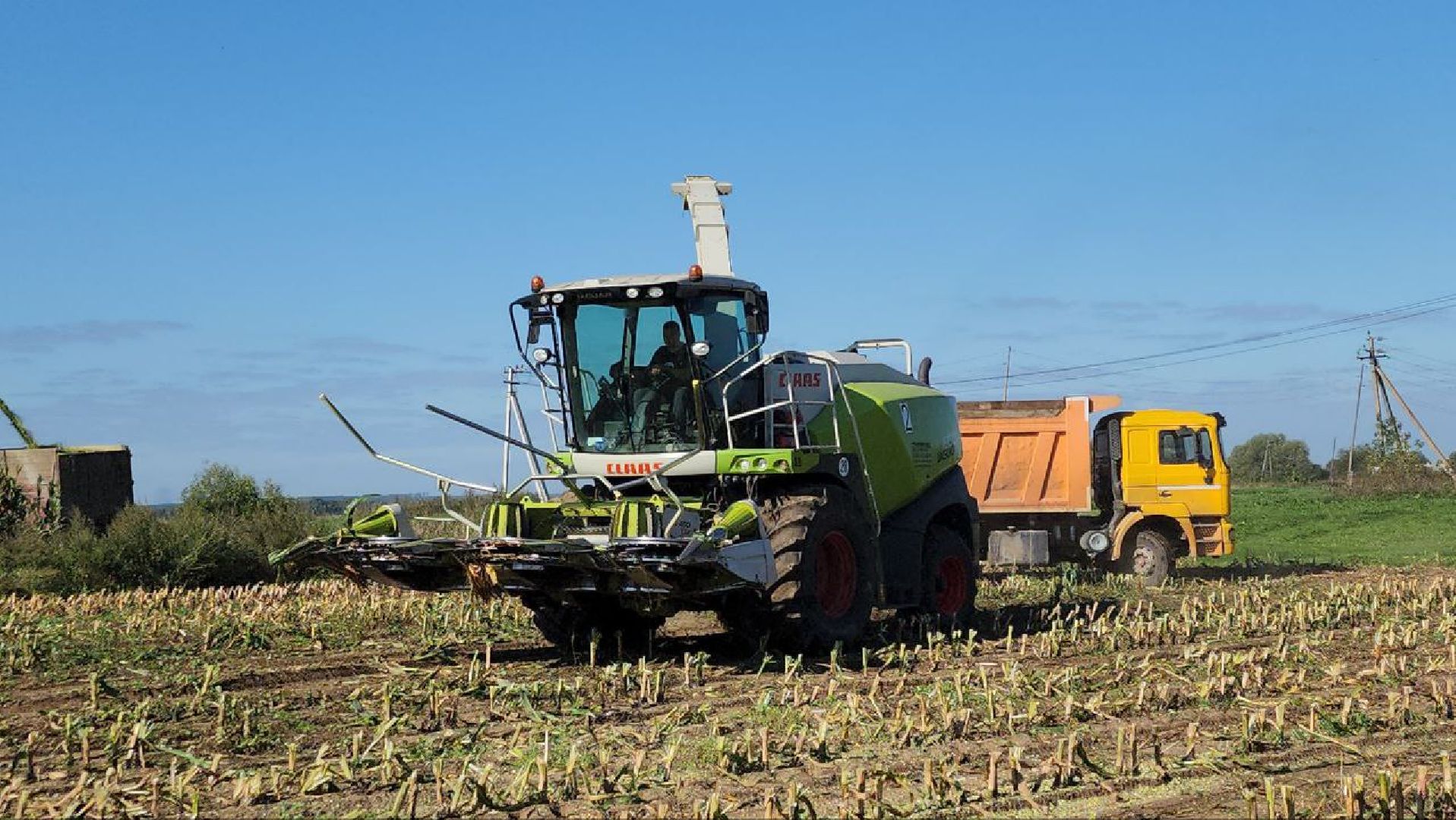 луховицы, сельское хозяйство,