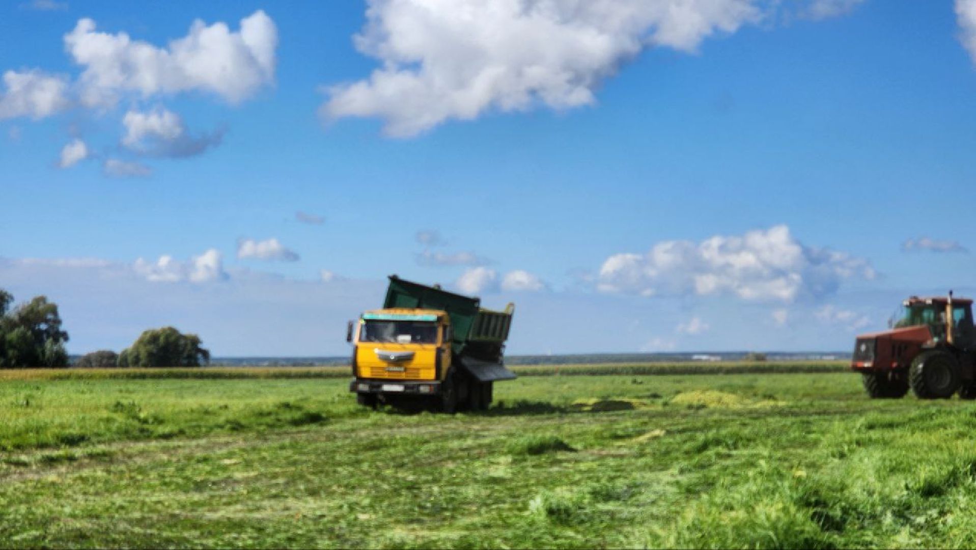 луховицы, сельское хозяйство,