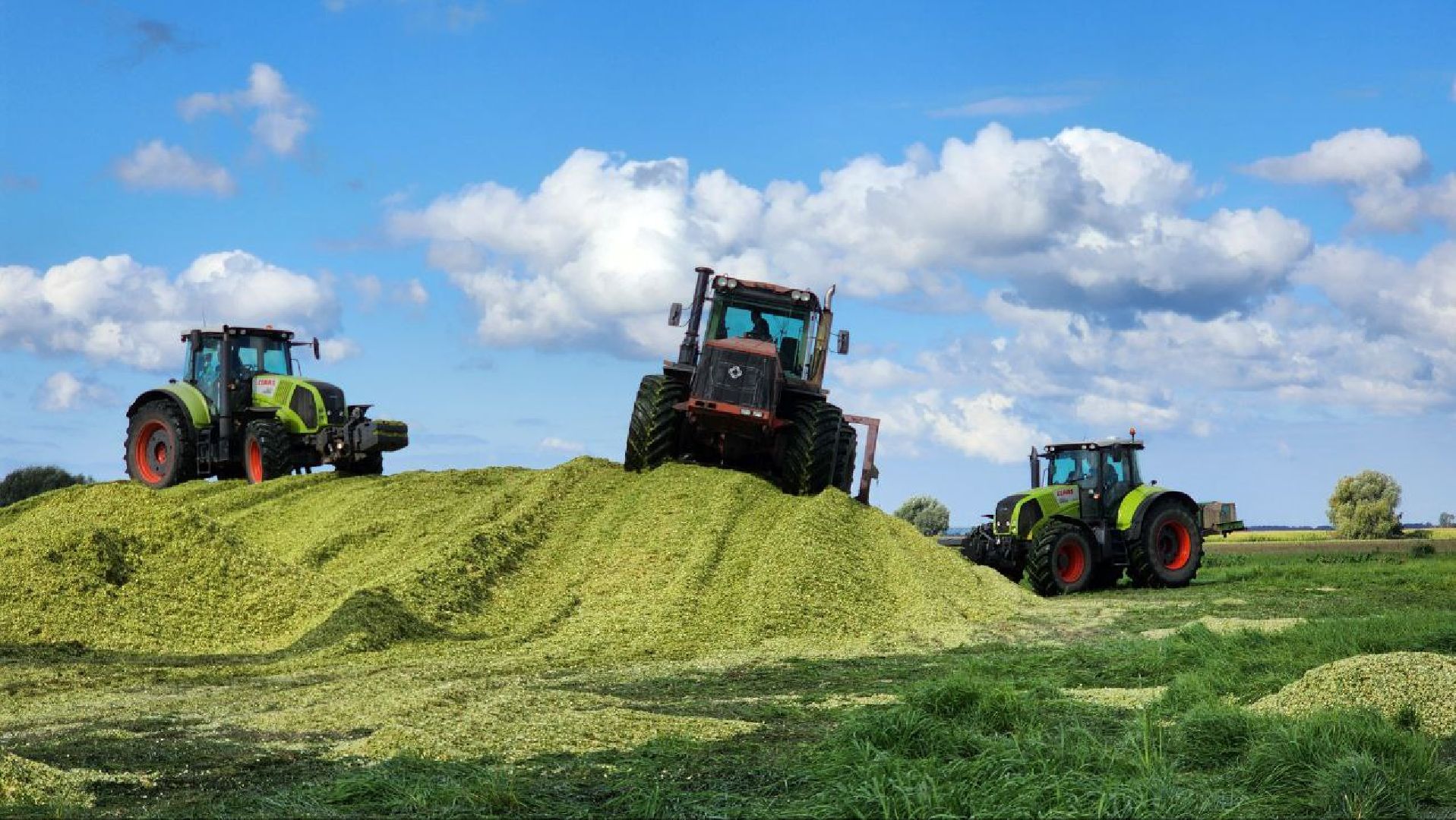 луховицы, сельское хозяйство,