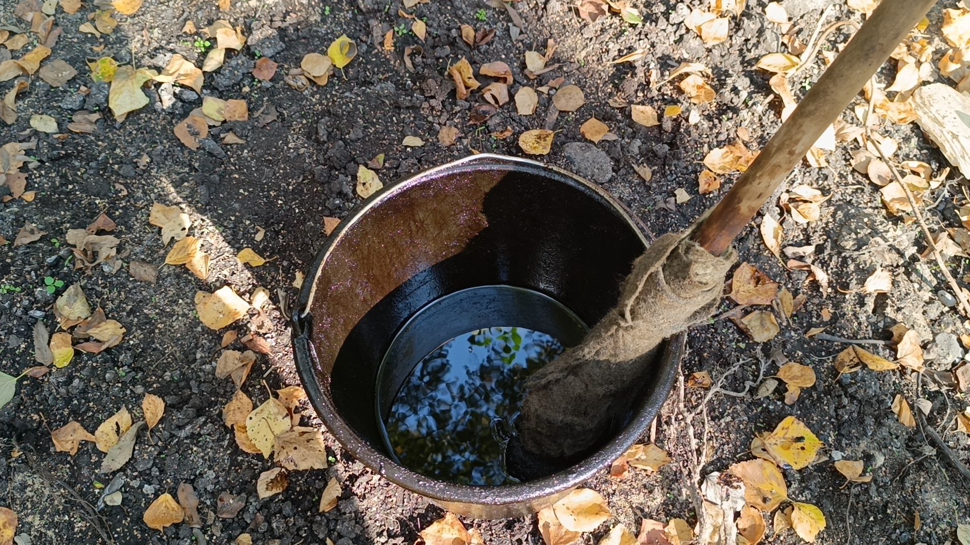 север, лобня, благоустройство,