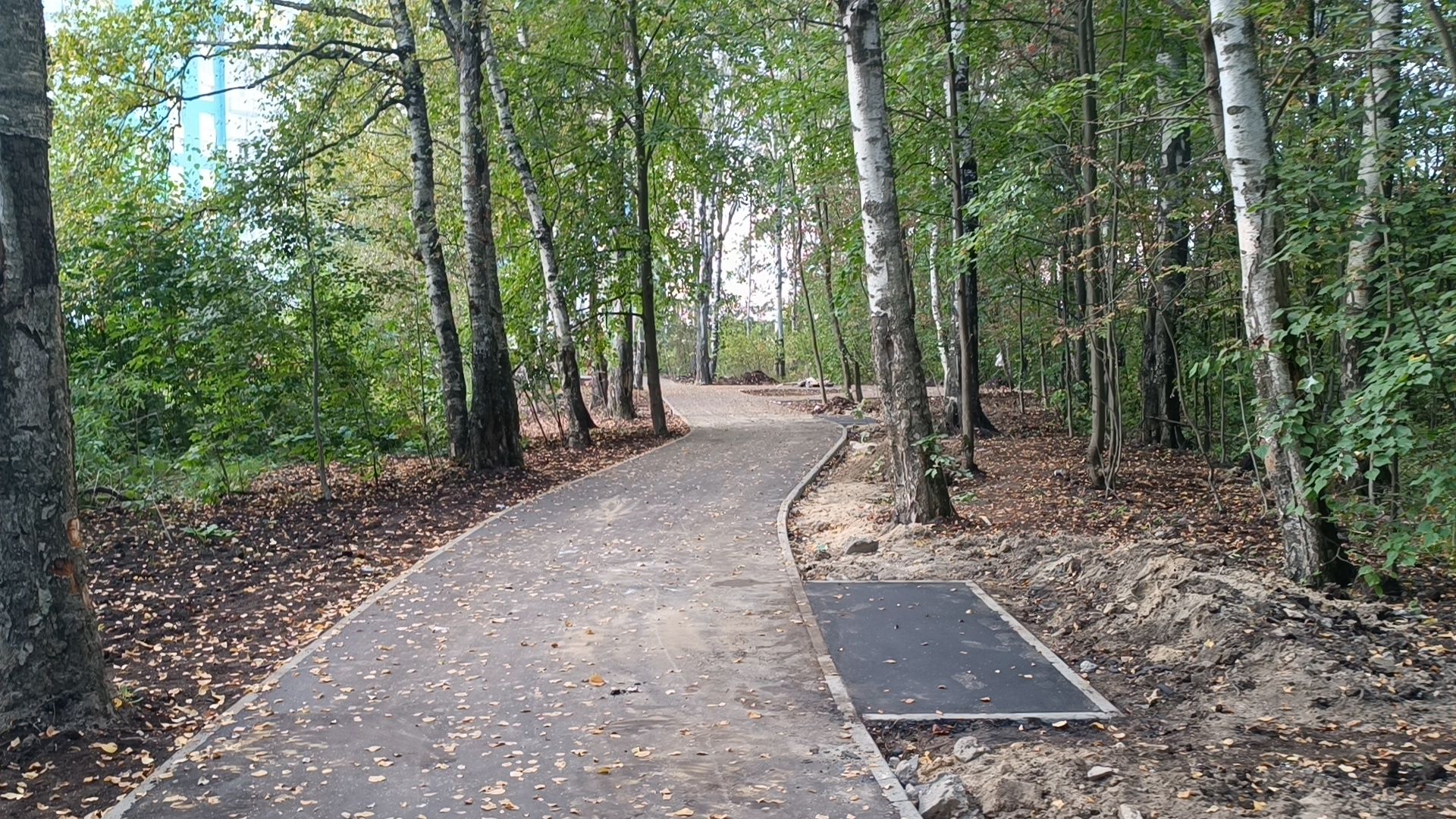 север, лобня, благоустройство,