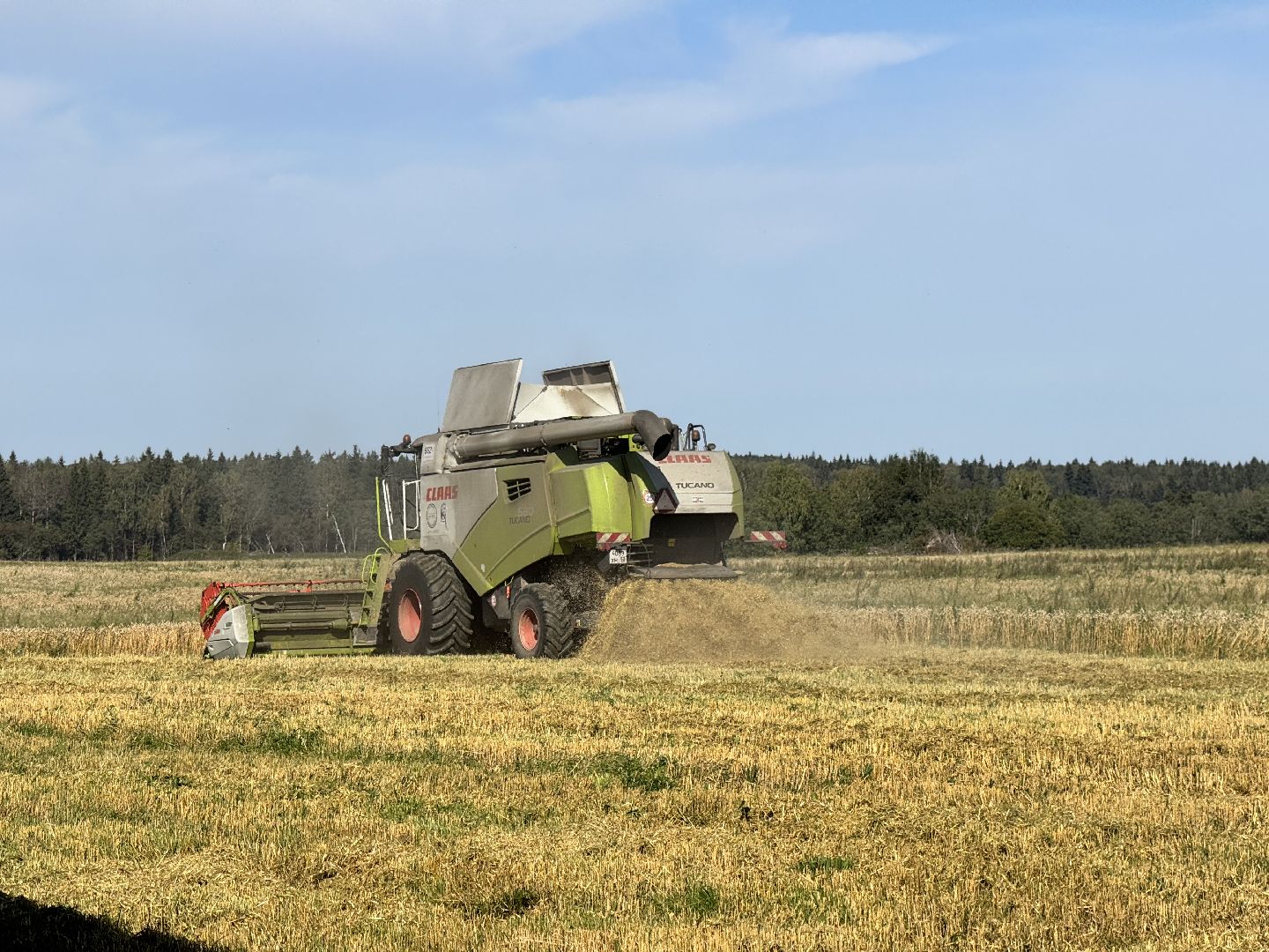 шаховская, уборка урожая, сельское хозяйство, уборка пшеницы,