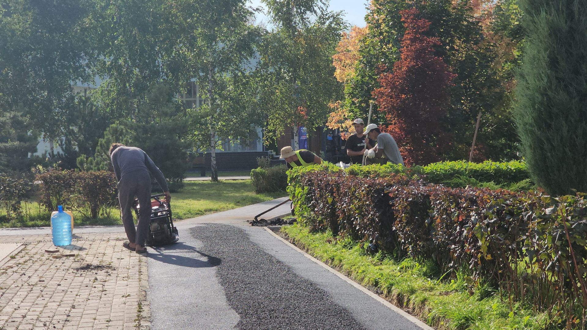 Асфальтирование , пешеходные дорожки и тропинки, Лобня , Парк,