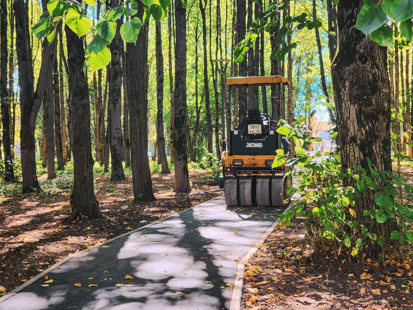 дороги, благоустройство, серпухов, пущино, народные тропы,