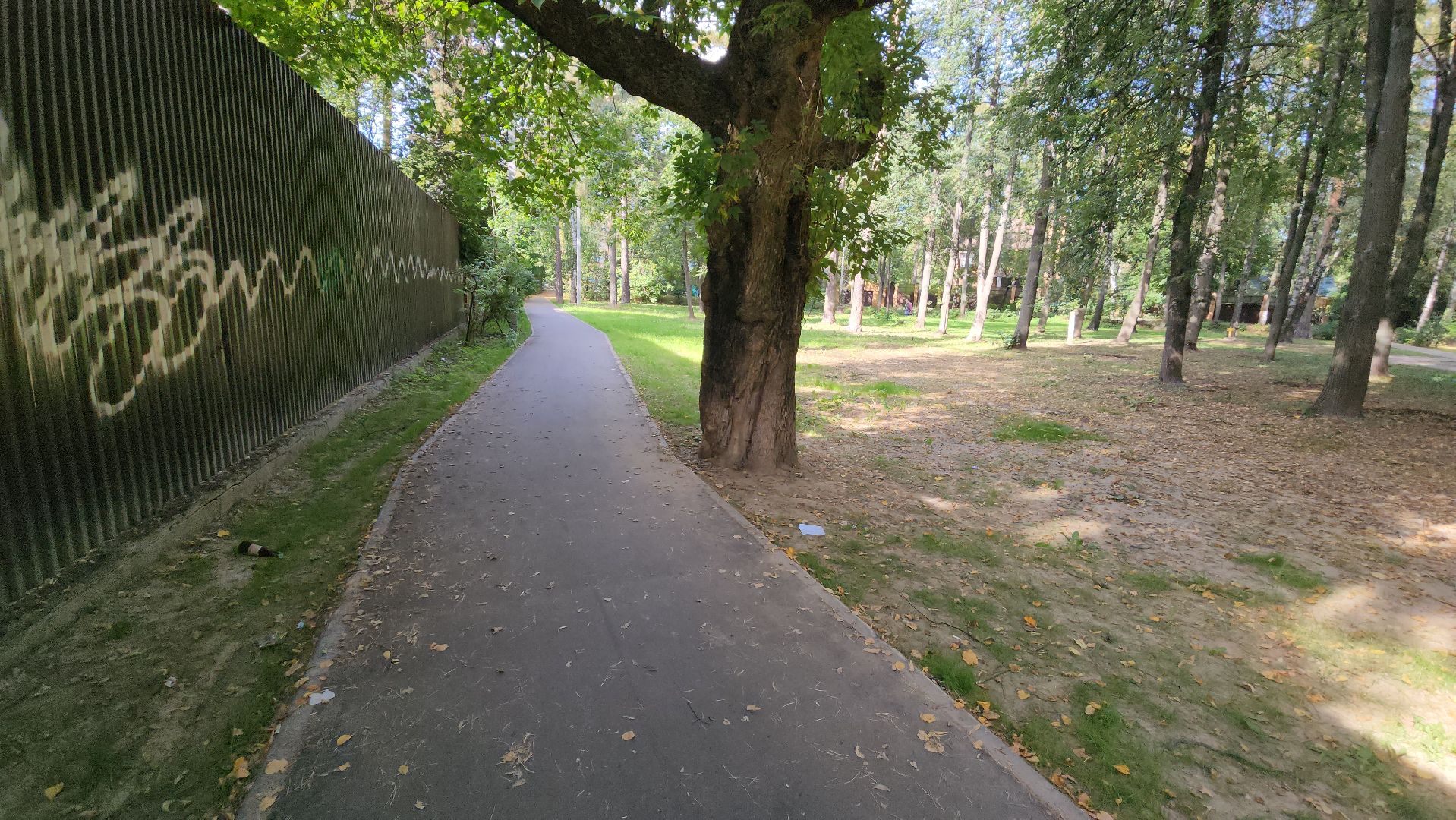 пушкино, народная тропа, пешком в подмосковье,асфальтирование,новый тротуар,комфортная среда,сквер,