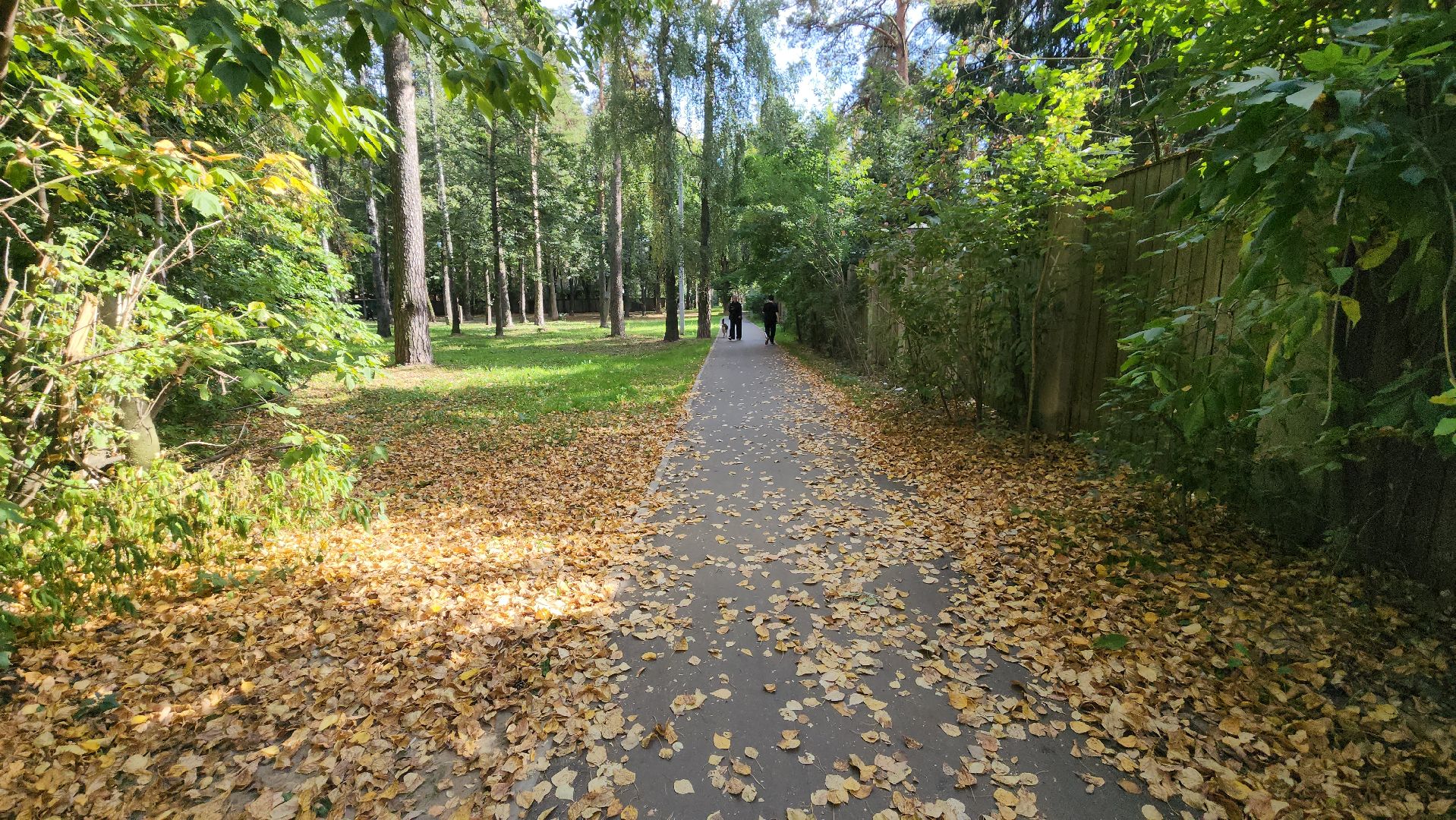 пушкино, народная тропа, пешком в подмосковье,асфальтирование,новый тротуар,комфортная среда,сквер,