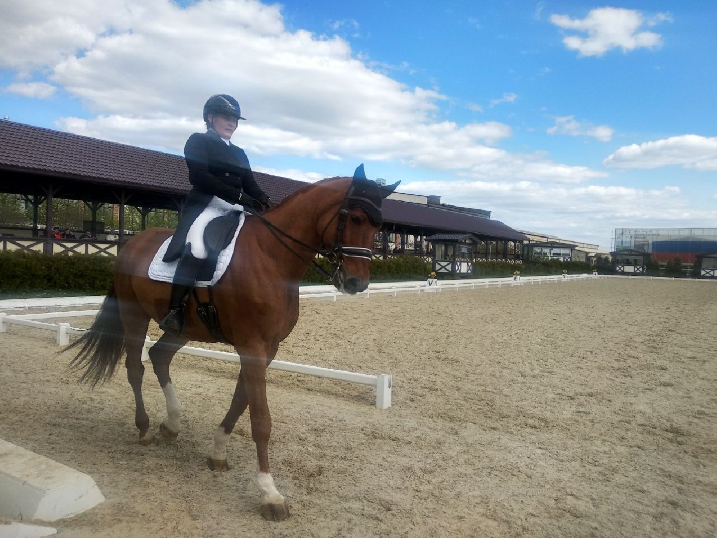 Дмитров, Кубок Победы, MAXIMA PARK