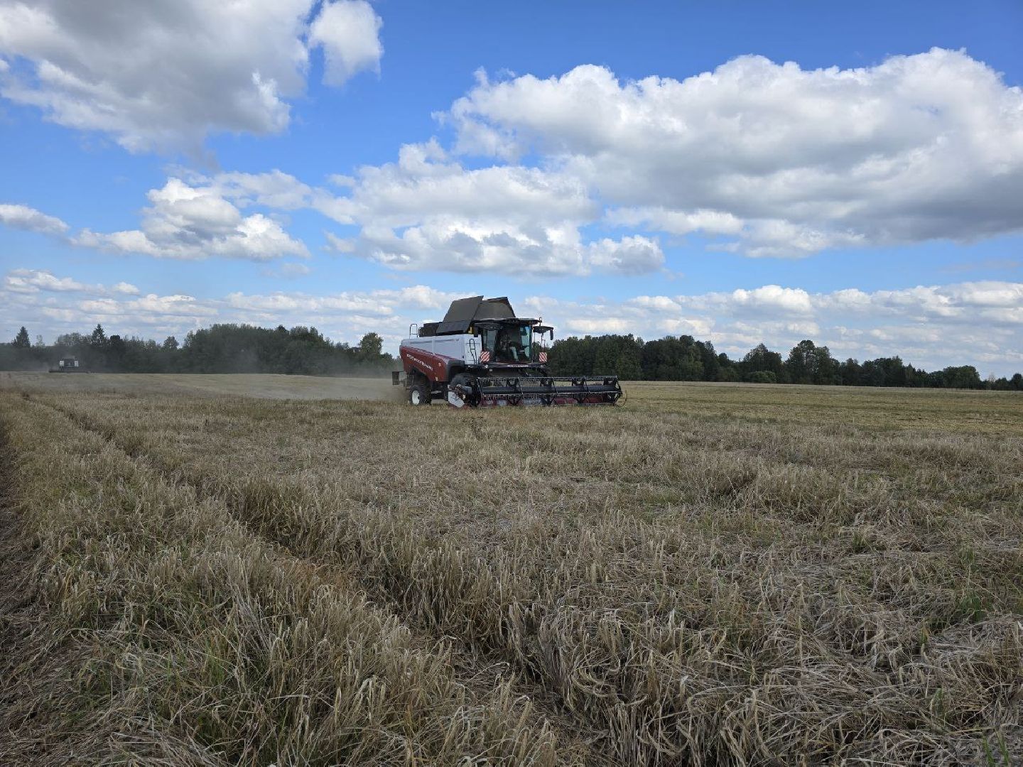 можайск, можайский муниципальный округ, подмосковье, сельское хозяйство, колхоз уваровский, уборочная кампания, сбор урожая, аграрии ,