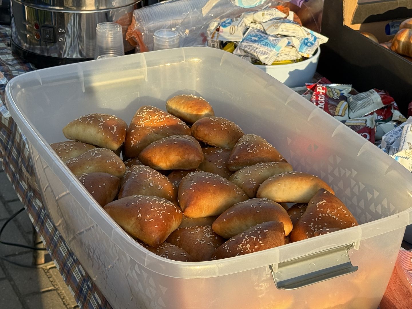 люберцы, экология, деревья, Акция, день в лесу сохраним лес вместе,