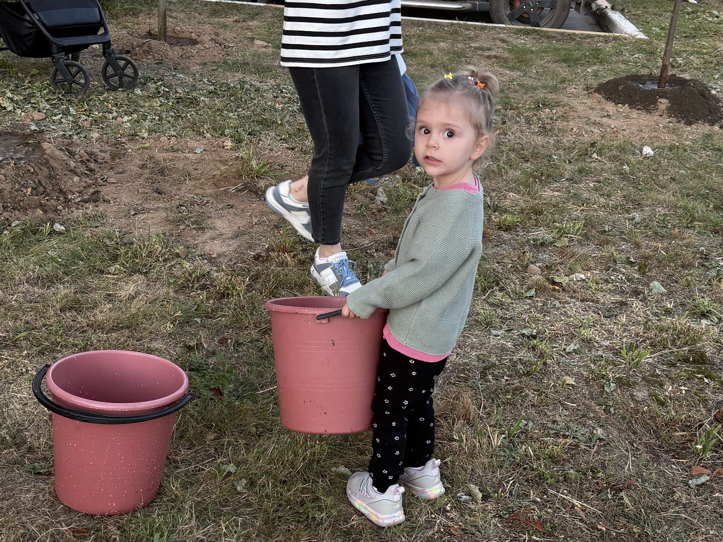 люберцы, экология, деревья, Акция, день в лесу сохраним лес вместе,