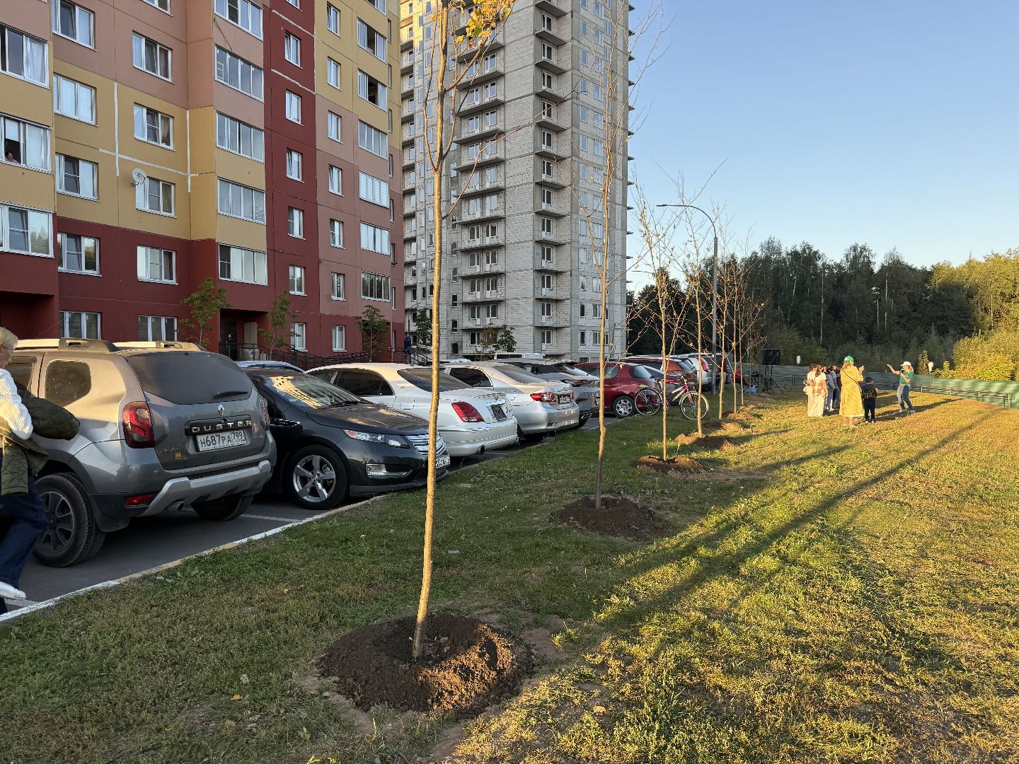 люберцы, экология, деревья, Акция, день в лесу сохраним лес вместе,