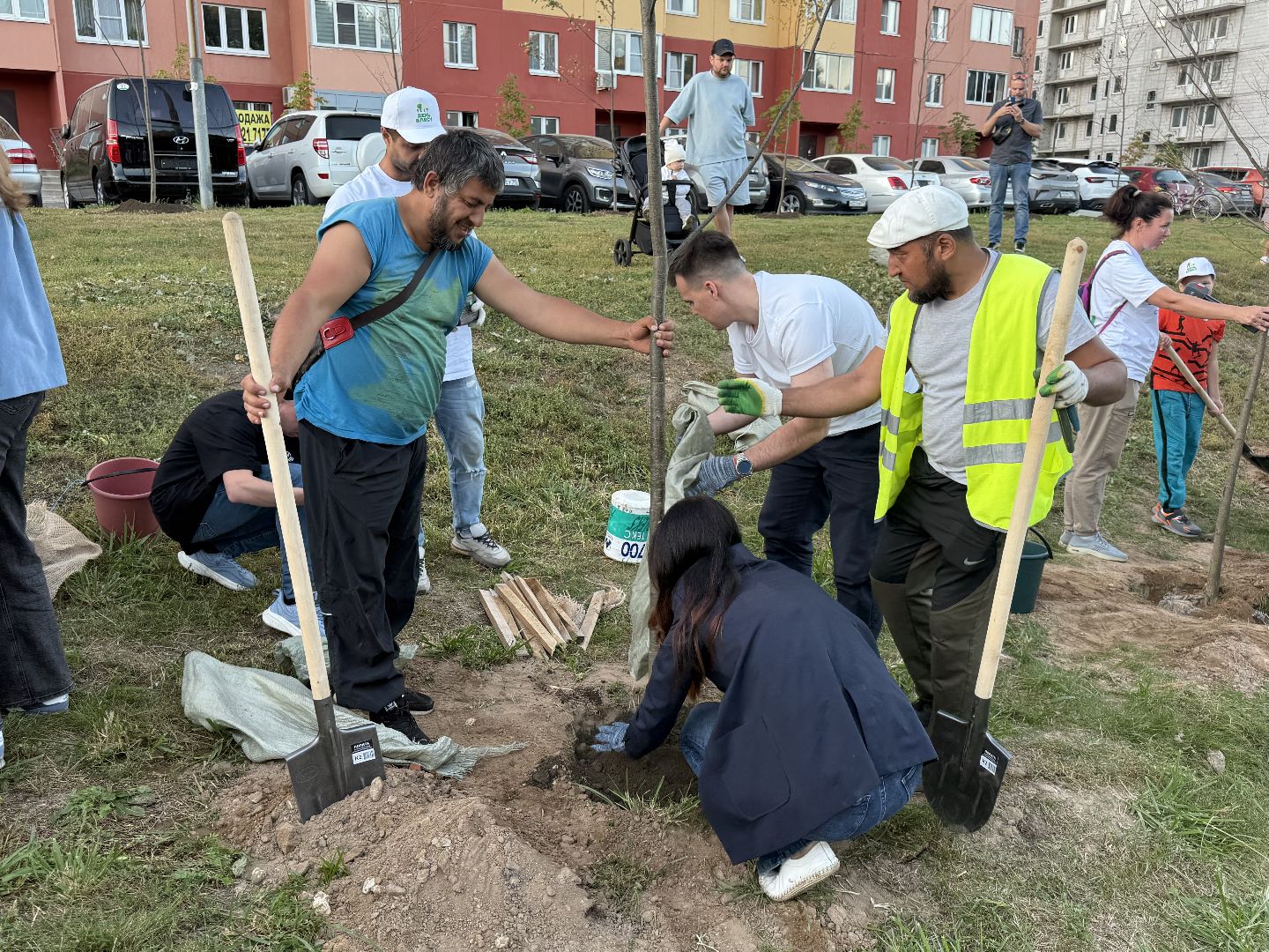 люберцы, экология, деревья, Акция, день в лесу сохраним лес вместе,