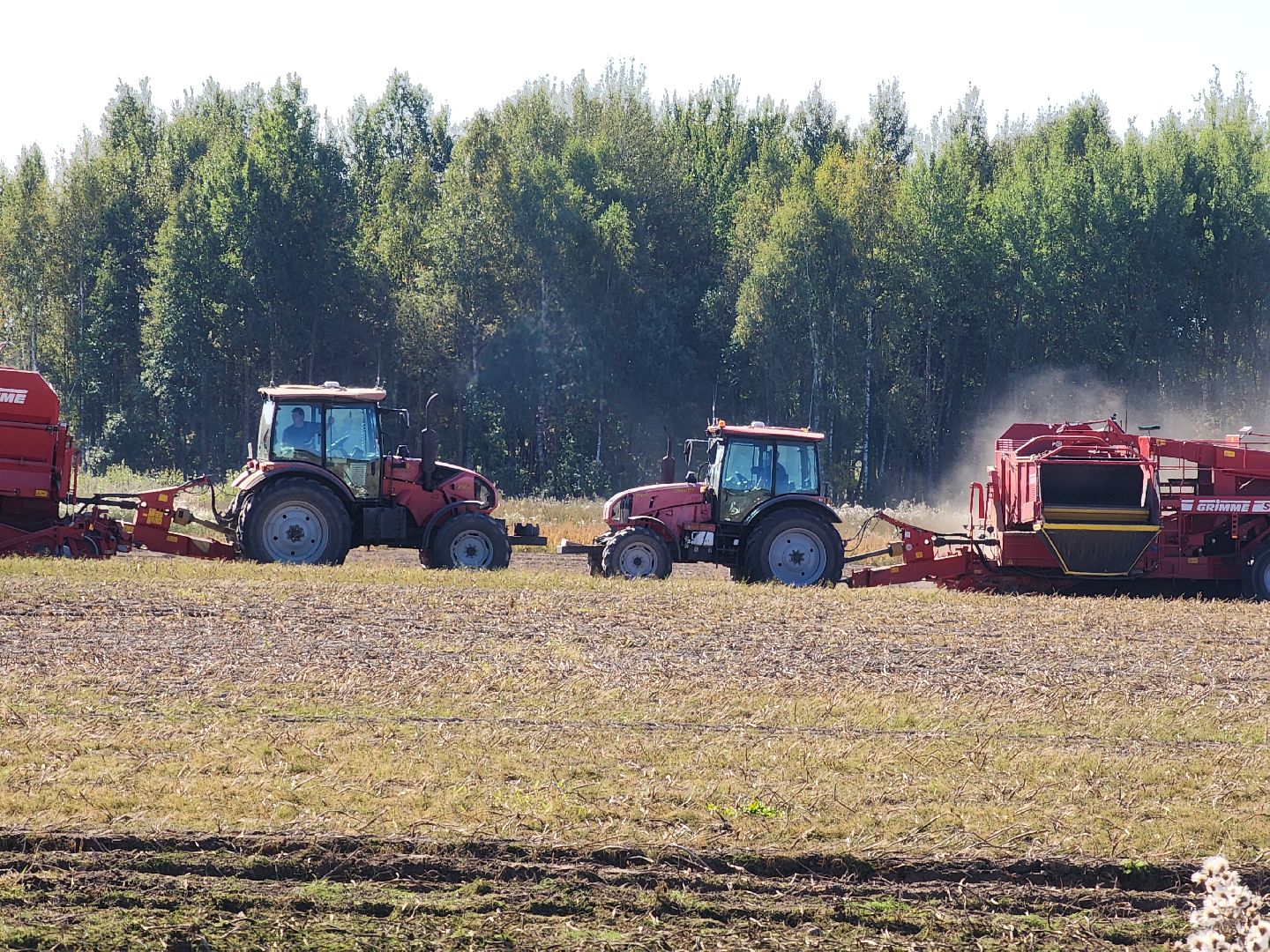 Егорьевск, Подмосковье, московская область,