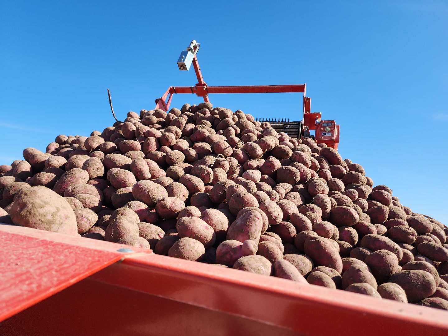 Егорьевск, Подмосковье, московская область,