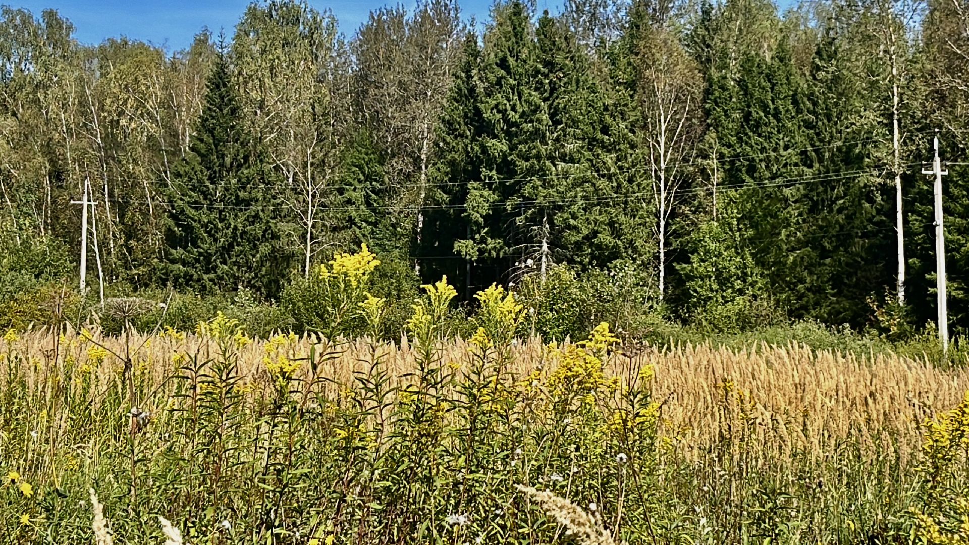 наро-фоминский городской округ, агроподворье, фермерский комплекс, агротуризм в наро-фоминске, козья ферма,