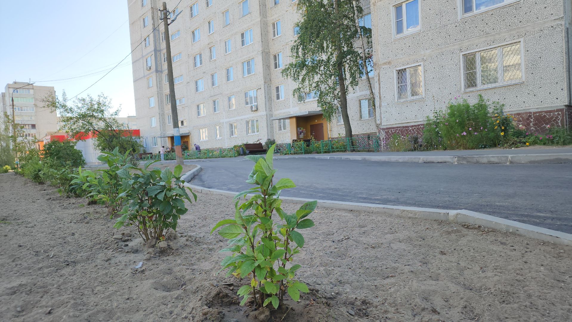 благоустройство дворов, давыдово, орехово-зуевский округ,