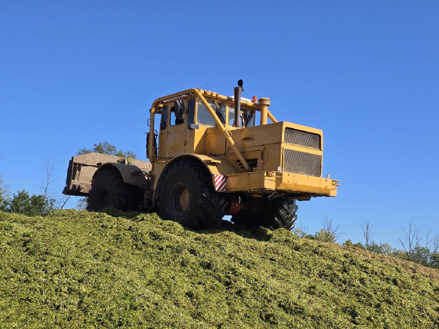 можайск, можайский муниципальный округ, подмосковье, сельское хозяйство, сбор урожая, заготовка кормов, совхоз можайский,