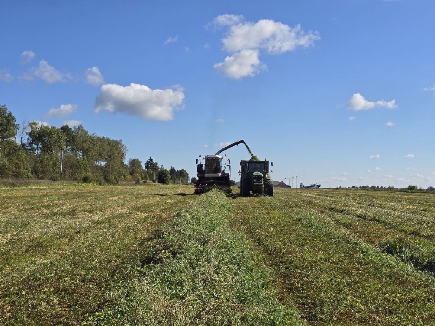 можайск, можайский муниципальный округ, подмосковье, сельское хозяйство, сбор урожая, заготовка кормов, совхоз можайский,