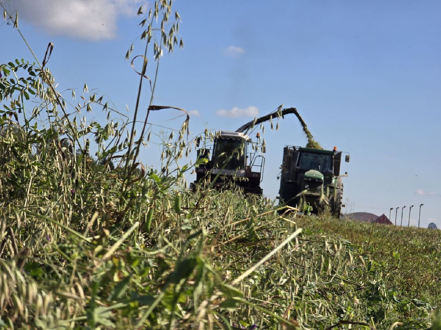 можайск, можайский муниципальный округ, подмосковье, сельское хозяйство, сбор урожая, заготовка кормов, совхоз можайский,