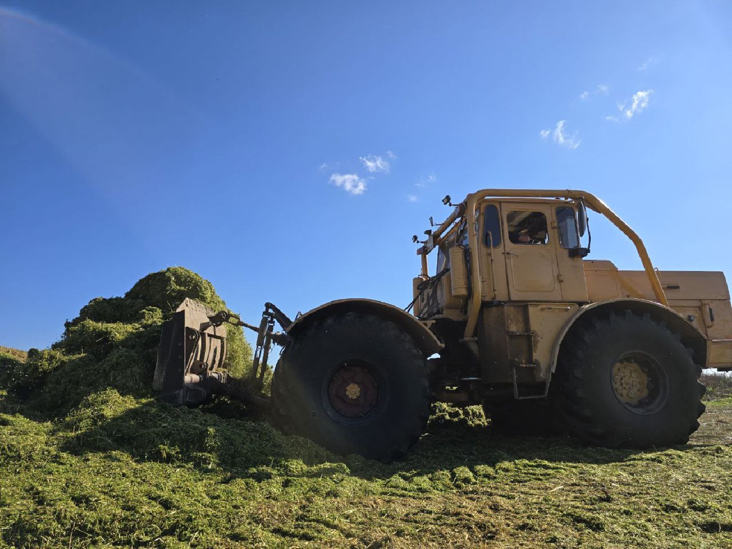 можайск, можайский муниципальный округ, подмосковье, сельское хозяйство, сбор урожая, заготовка кормов, совхоз можайский,