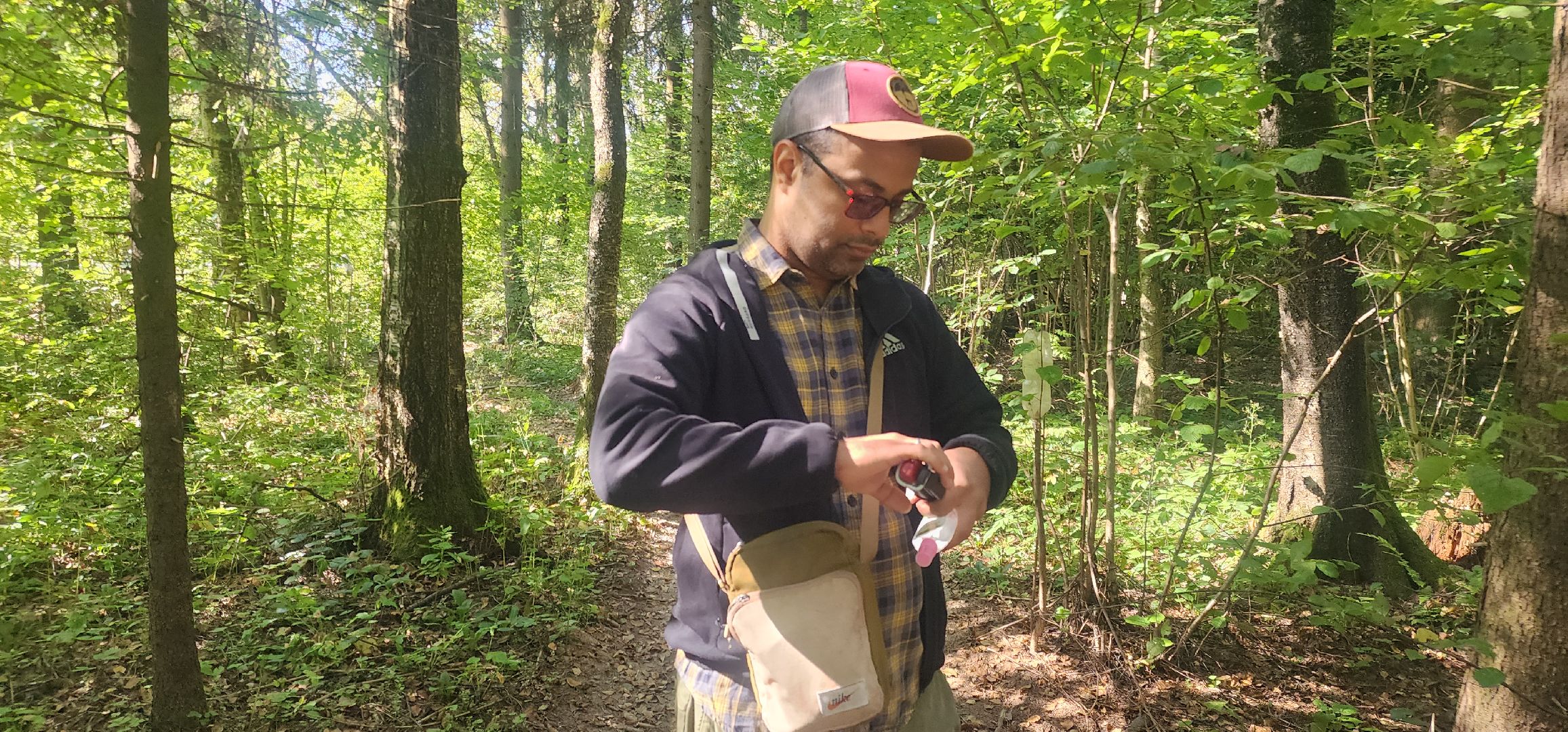 Общество , Грибной сезон, Люди Звенигорода,