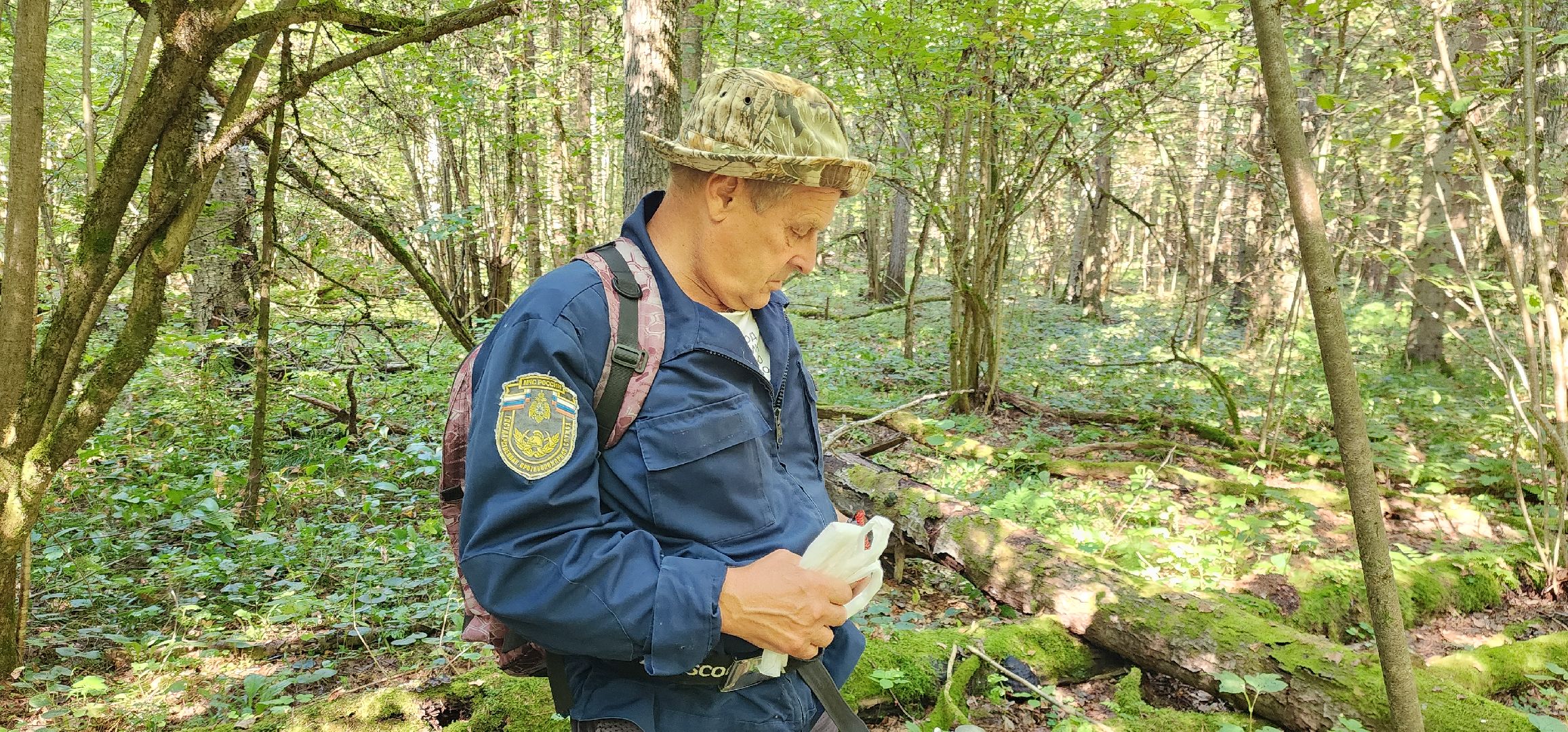 Общество , Грибной сезон, Люди Звенигорода,