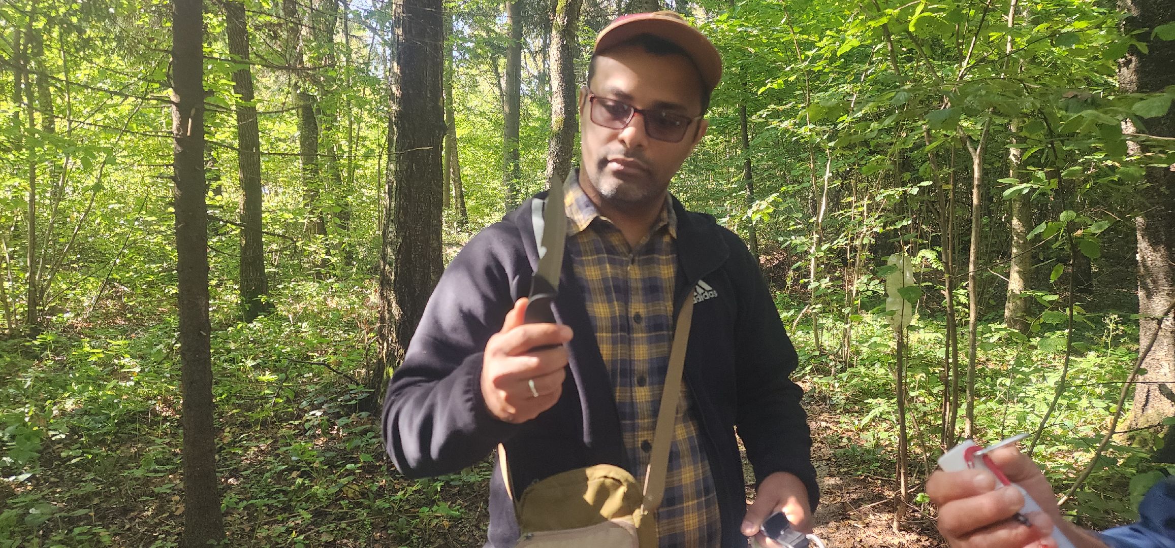 Общество , Грибной сезон, Люди Звенигорода,