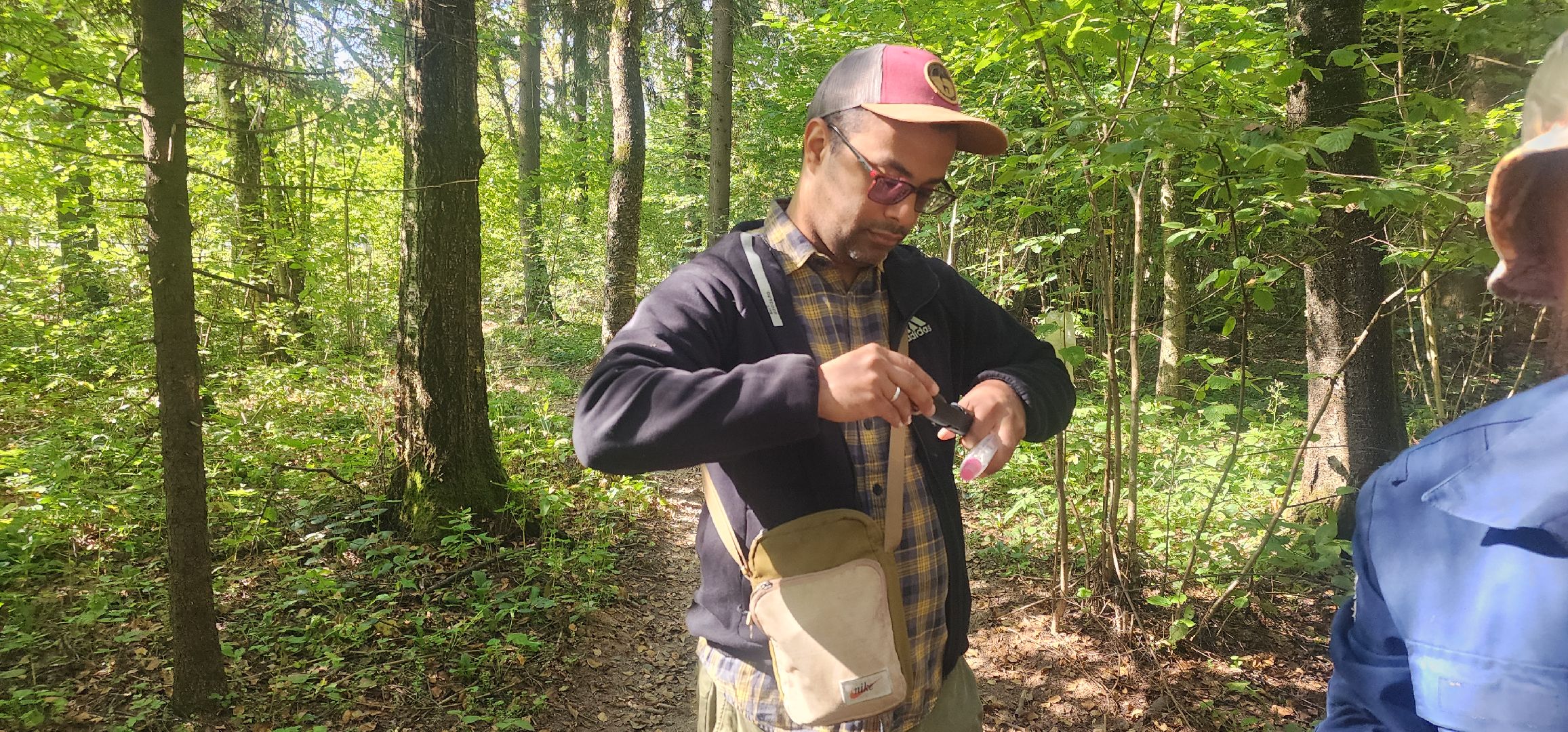 Общество , Грибной сезон, Люди Звенигорода,