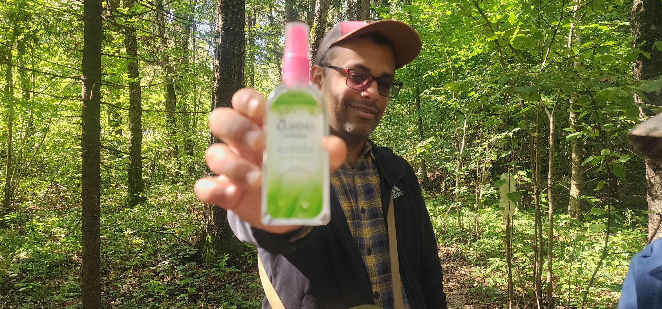 Общество , Грибной сезон, Люди Звенигорода,